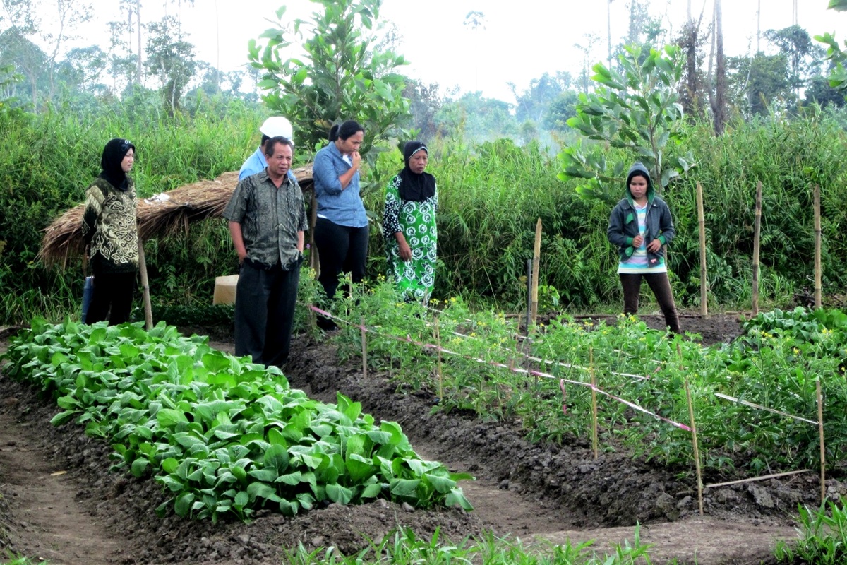 Bantuan Pupuk dan Bibit Unggul Kelompok Wanita Tani